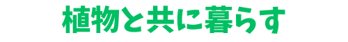 観葉植物と共に暮らす
